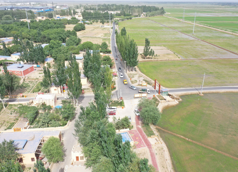 ����߅��|�Ͻ����W(w��ng)�t�塱�ڡ�Ԋ���h������䁾��Ҹ�·