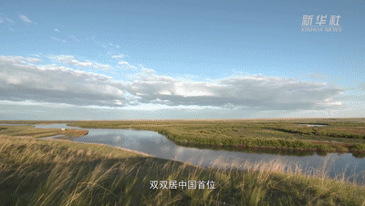 ������߅����������¡�ϵ��΢�o(j��)�Ƭ�ڶ��������l(w��i)�ڱ����ֺ���