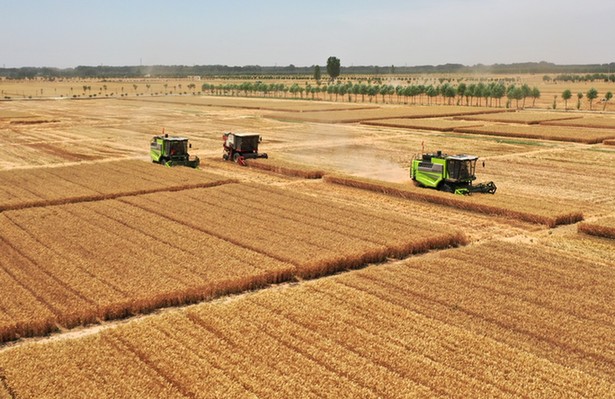 �r(n��ng)���Ո����r(n��ng)ƽ���£��Ї��Zʳ���ŏ������