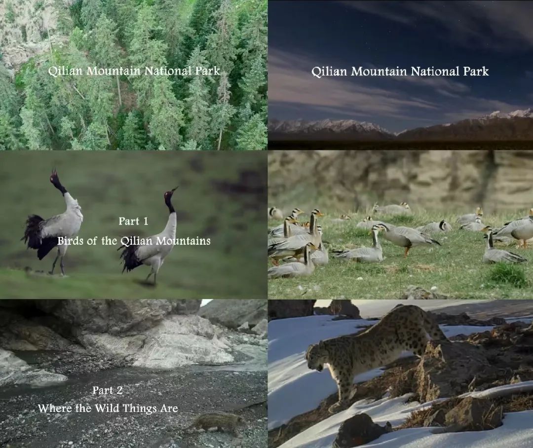 �҇���ѝM�M�����_�o(j��)䛴�Ƭ�ڸ۟Ქ