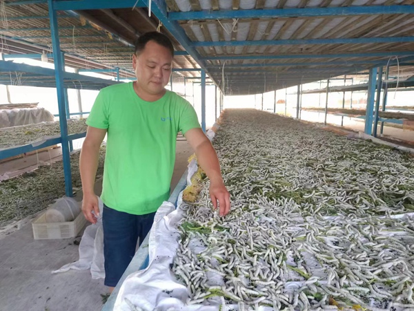 ���߿��������Q����ѩɏ�z