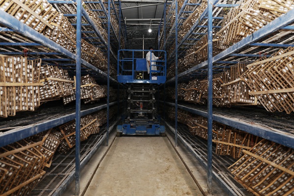 �����ˆT���Q�����Q���а��(zh��n)�a(ch��n)�I(y��)�k���D