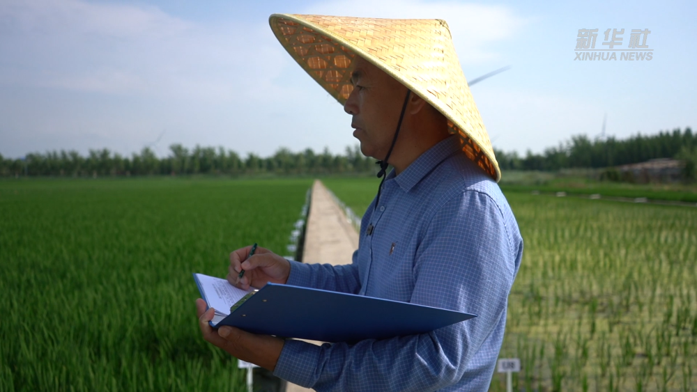 ���Aҕ�c��һ���N һ�w��о��