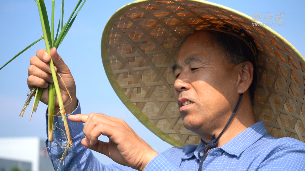 ���Aҕ�c��һ���N һ�w��о��