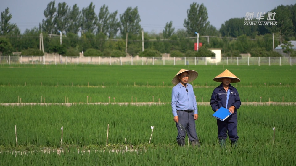 ���Aҕ�c��һ���N һ�w��о��