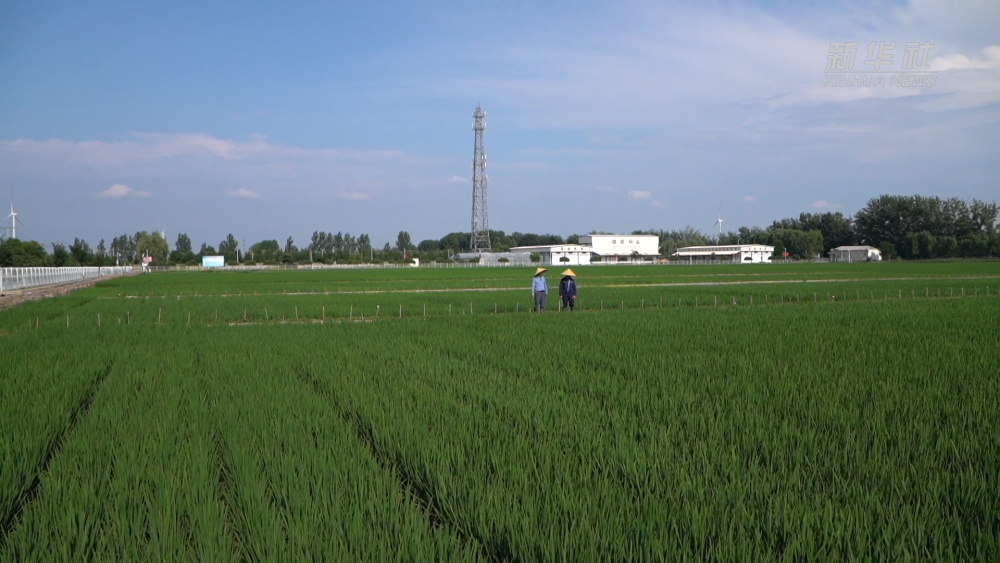 ���Aҕ�c��һ���N һ�w��о��