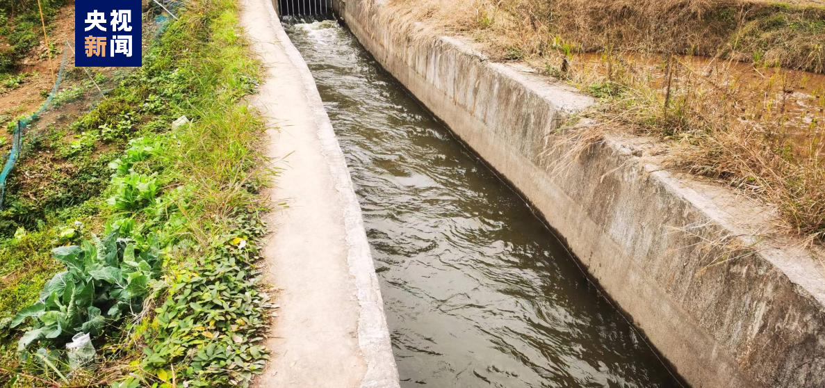 ���r(n��ng)�����ˮ������ش������a(ch��n)���¡�����(d��ng)�I��