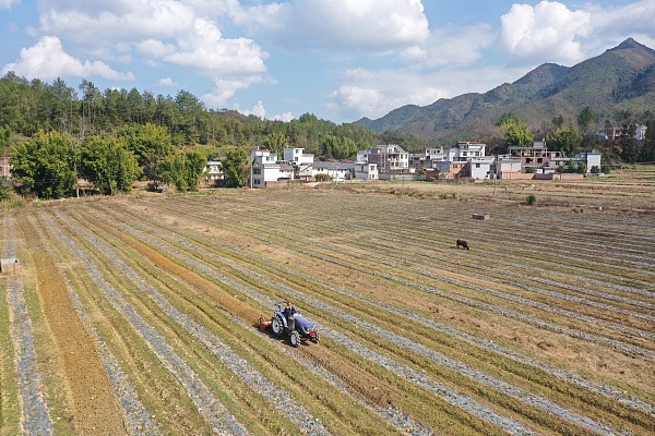 不誤農(nóng)時不負春 穰穰滿家的一年從這里開始!
