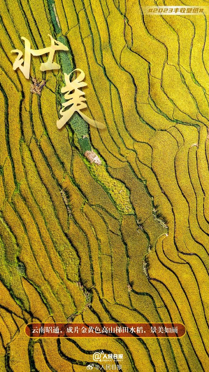 ����S�մ���������˱ڼ�