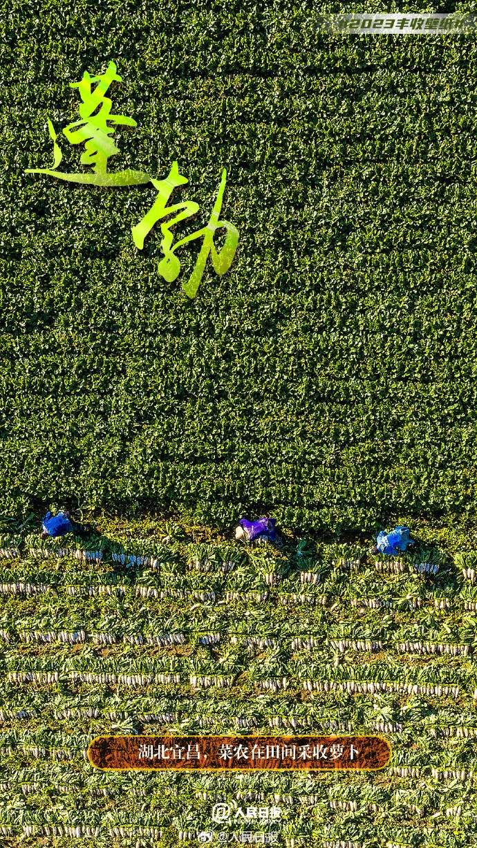 ����S�մ���������˱ڼ�