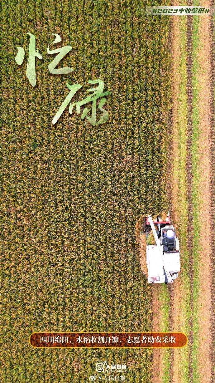 ����S�մ���������˱ڼ�