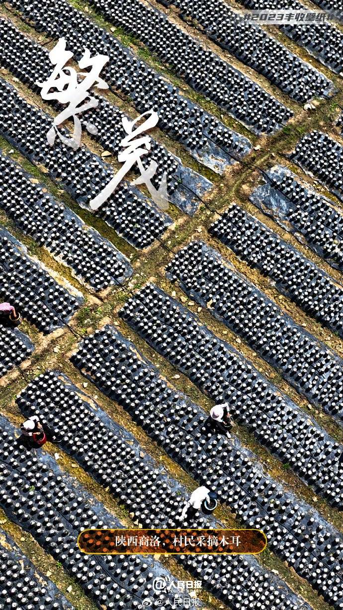 ����S�մ���������˱ڼ�