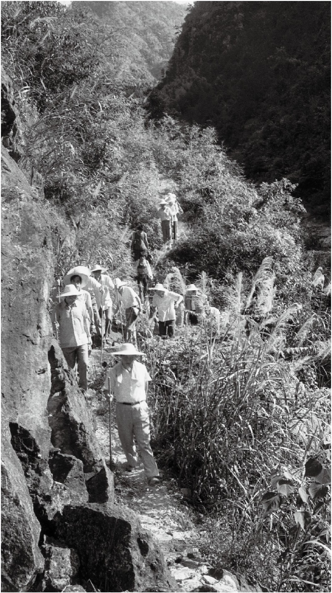 1989��7������(x��)��ƽһ�е��ی��h���h�l(xi��ng)�{(di��o)����