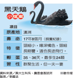 �����Z �_(t��i)�����d��W(xu��) �_(t��i)��