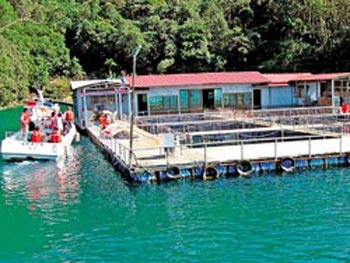 ����̶���ݽ����(l��i)�����������(du��)���^��ˮ���������ɘO�����_���DƬ��(l��i)Դ���_(t��i)�����Ї�(gu��)�r(sh��)��(b��o)��