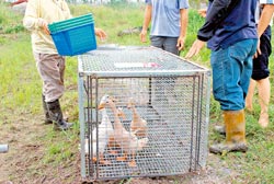 ���{�F�\������͵Ĳ���\���DƬ��Դ���_(t��i)�����Ї��r(sh��)��(b��o)��