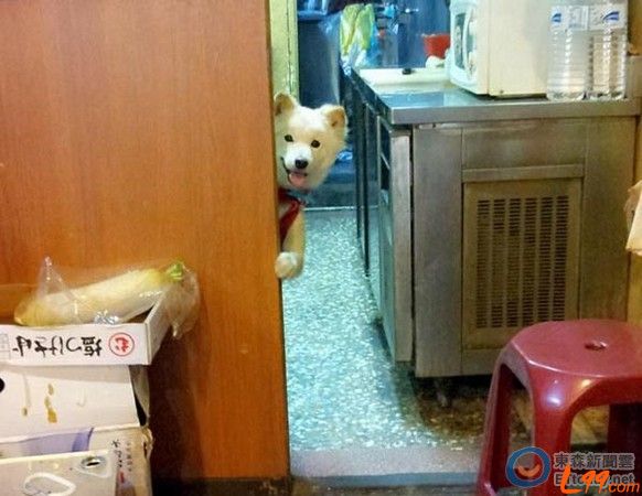  �I(l��ng)�B(y��ng)����ُ(g��u)�I���_(t��i)�����˹�̽�^�u��������ȥ�ϰ�