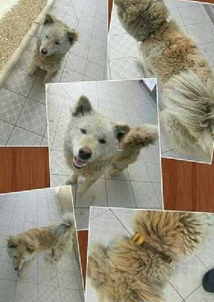  �I(l��ng)�B(y��ng)����ُ(g��u)�I���_(t��i)�����˹�̽�^�u��������ȥ�ϰ�