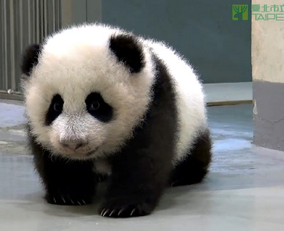 �A�Є��������Õr(sh��)������