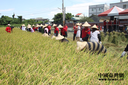 �_(t��i)���r(n��ng)���ո�æ���Ї�(gu��)�_(t��i)���W(w��ng) ʏ?f��)?�z��