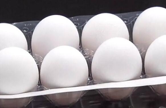 �_���ߜ؟����u�����r�j�������~������F��Ʒ�����_ý�D��