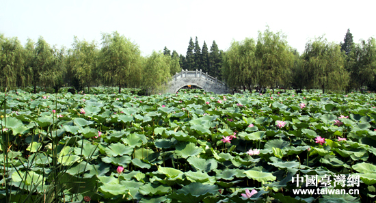 31�����ɰ�ý�wǰ����ɽ�����[�f(w��n)������������ɽҰ���ɻ����硣