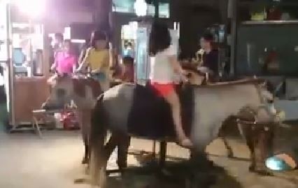 �_�����Aҹ���@Ҋ�����w���D(zhu��n)ľ�R���W(w��ng)������̫���������_ý�D��