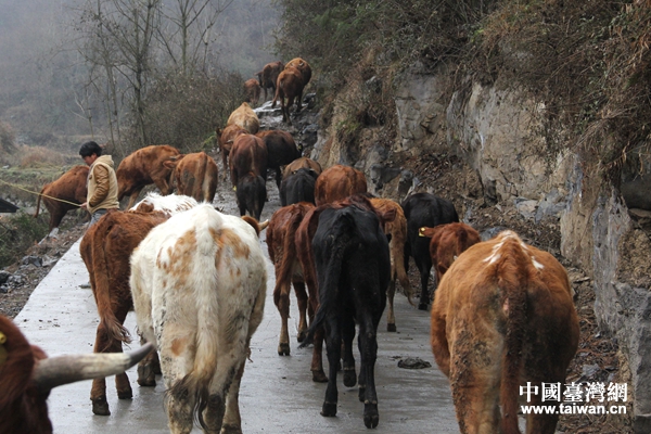 �����L(zh��ng)�����(zh��n)���P(gu��n)���B(y��ng)������ؚ�����J���B(y��ng)ֳ��ţ�����Ї�(gu��)�_(t��i)���W(w��ng) ������ �z��