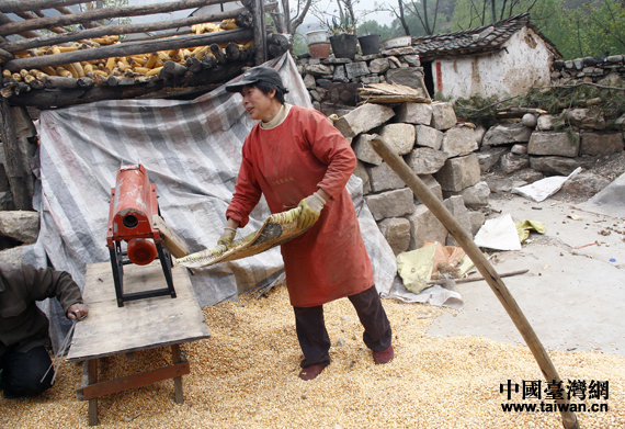 �񄞳���������Ӣ��