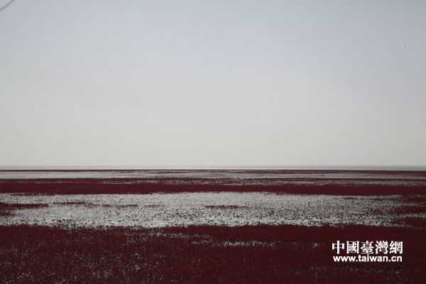 �P�\�t�����L(f��ng)���ȵ����Ї��_���W(w��ng)�����a�󡡔z��