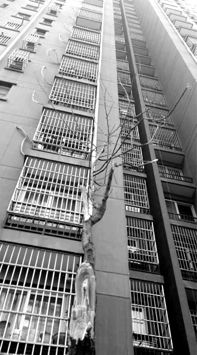 15�qŮ���c���ˠ��������� ĸ�H���ʹ��(�D)