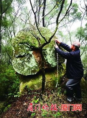 ͬ����݆ɽ�ϵĺ�ʯ��