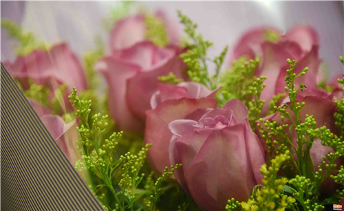 情人節(jié) 合肥鮮花市場(chǎng)一片紅火(組圖)