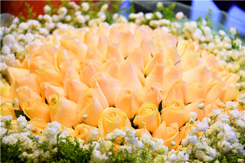 情人節(jié) 合肥鮮花市場(chǎng)一片紅火(組圖)