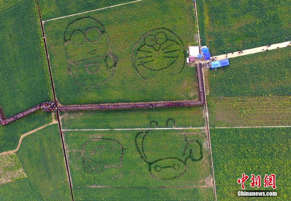 �ɶ��¶��^(q��)�����(zh��n)�Ͳ˵����Ĕz�����ġ��͈D���͡�l(f��)ove����marry me����Ӣ����ĸ�D����