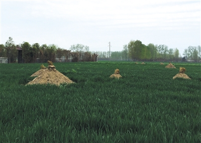 ���켯����r(n��ng)�������������˱���ĉ��^��