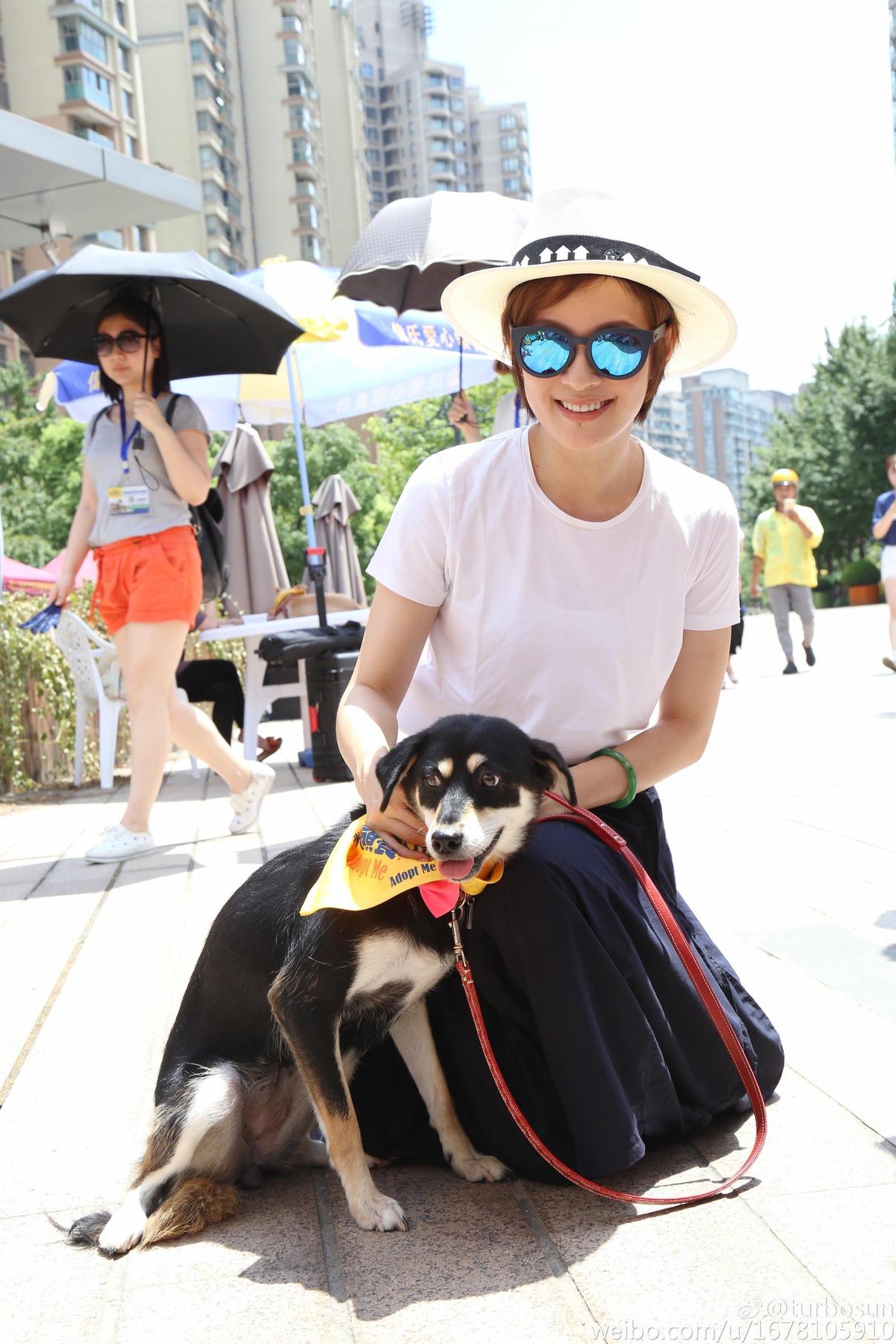 組圖:孫儷烈日下做慈善 呼吁領(lǐng)養(yǎng)流浪狗 組圖:孫儷烈日下做慈善 呼吁領(lǐng)養(yǎng)流浪狗