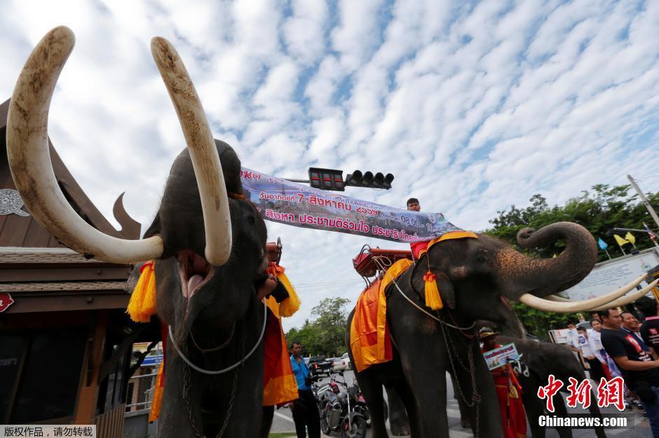 ̩��(gu��)�����ñ��Ӱl(f��)���� ��������Ͷ���(sh��)