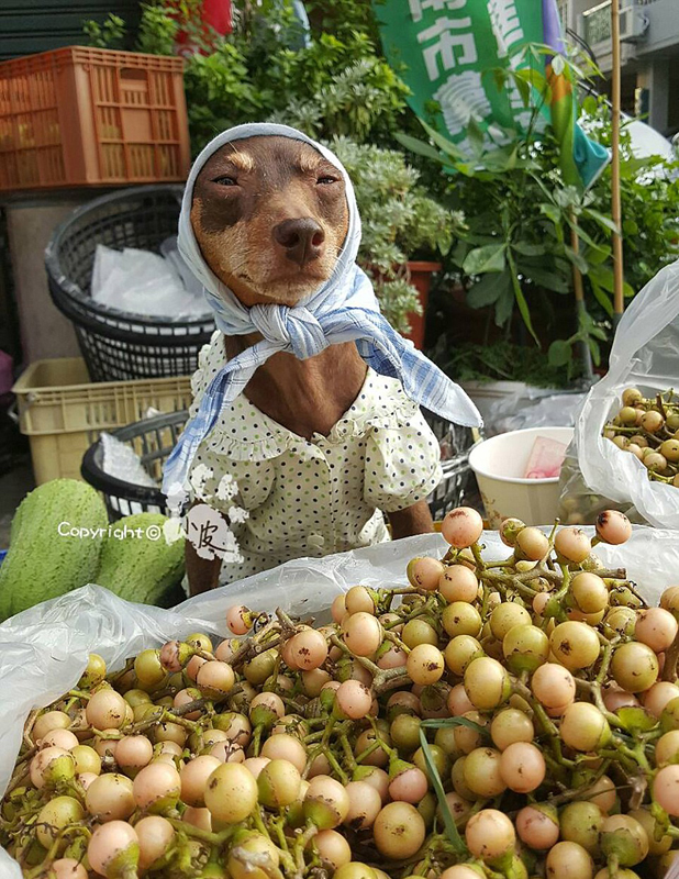 �_(t��i)����Ȯ����ˮ���߲ˎ����˔�����