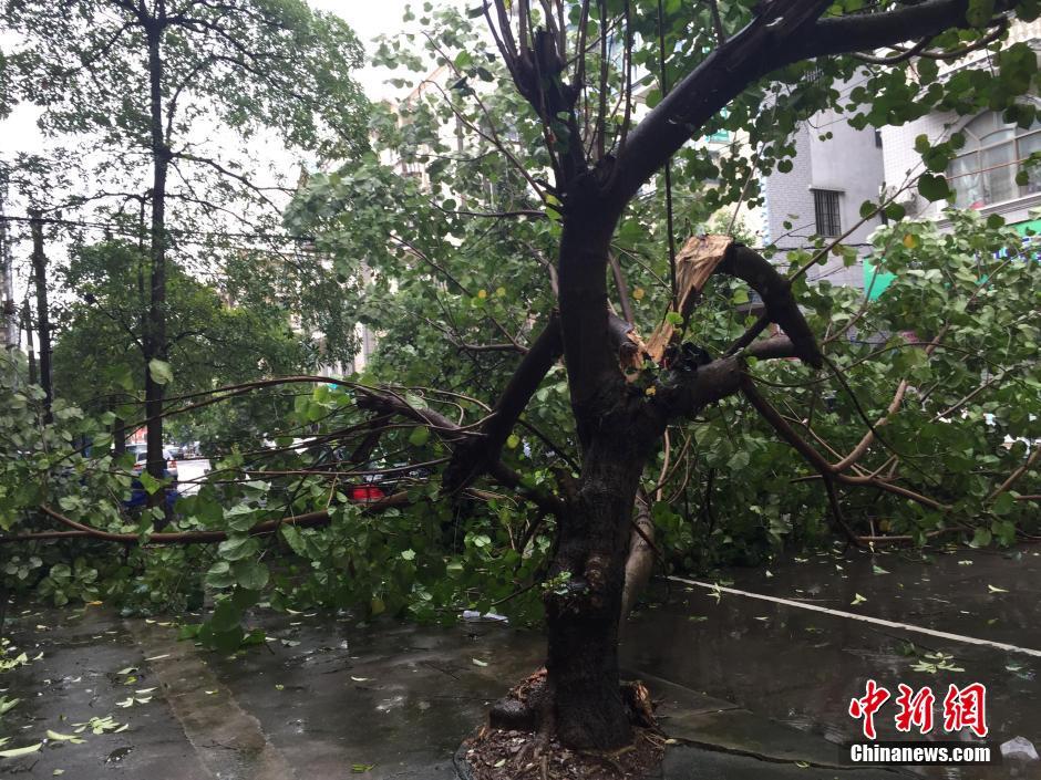 臺(tái)風(fēng)“電母”攜暴雨襲擊中越邊境