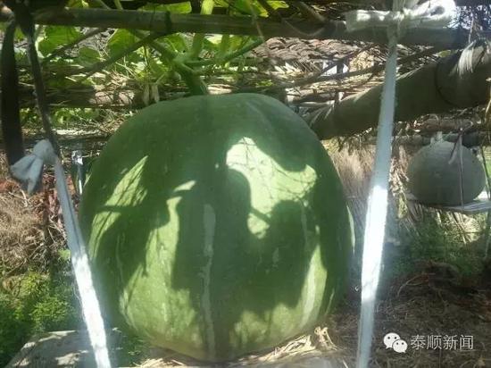 ����1���˷N��5�w�ޟo(w��)���Ϲ� ���һ��(g��)�χ��_(d��)1��67