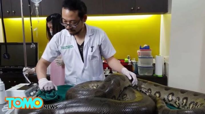 52������������K�[�����g(sh��) �г�1�����[��