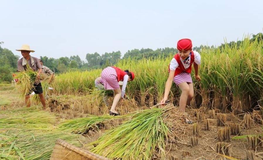 �Ĵ���(zh��n)�ս㴩�Ʒ�ȹ�M(j��n)�r(n��ng)���յ���