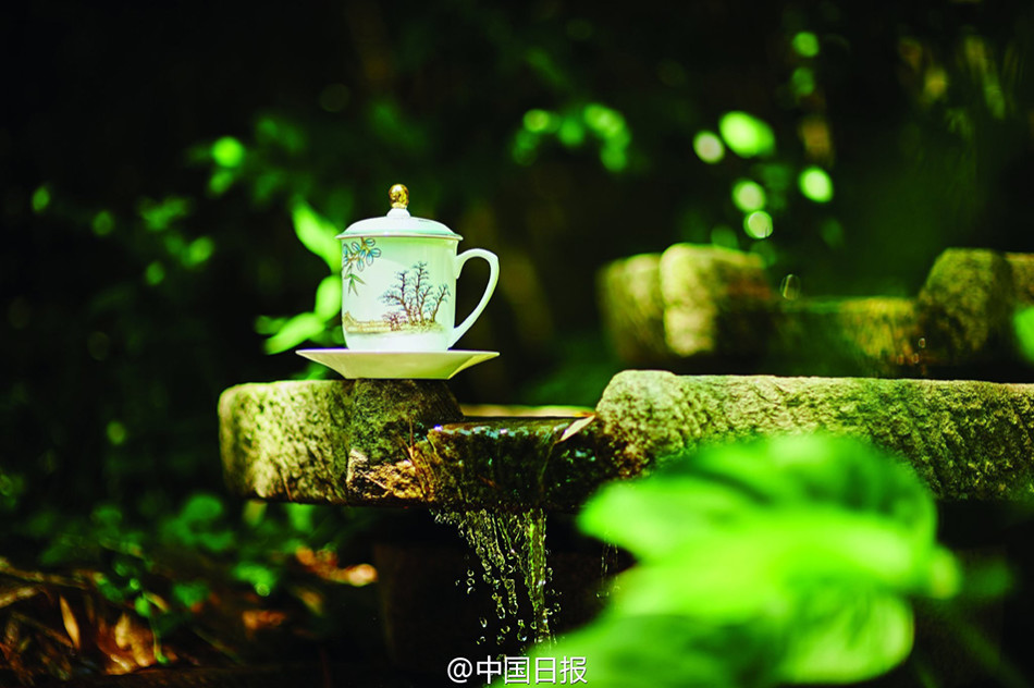 ����G20���"����ʢ��"�;�:�D��ȡ����������