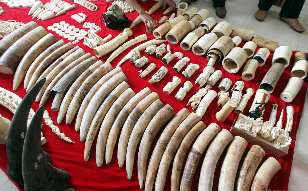 �����ƫ@Ұ����(d��ng)����Ʒ�� ����Ϭţ�ǳ�1200�f(w��n)