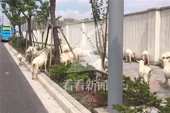 Ⱥ����F(xi��n)����ߖ|·����·��·�����ƺ�ʎʎ����·���e��