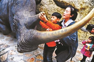 北京動(dòng)物園犀牛雕塑刻上沒(méi)有買(mǎi)賣(mài)就沒(méi)有殺害 北京動(dòng)物園犀牛雕塑刻上沒(méi)有買(mǎi)賣(mài)就沒(méi)有殺害