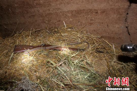 ���������˲�����݃�(n��i)�ݶ����ѳ��Ę�֧�� ���񾯷����D