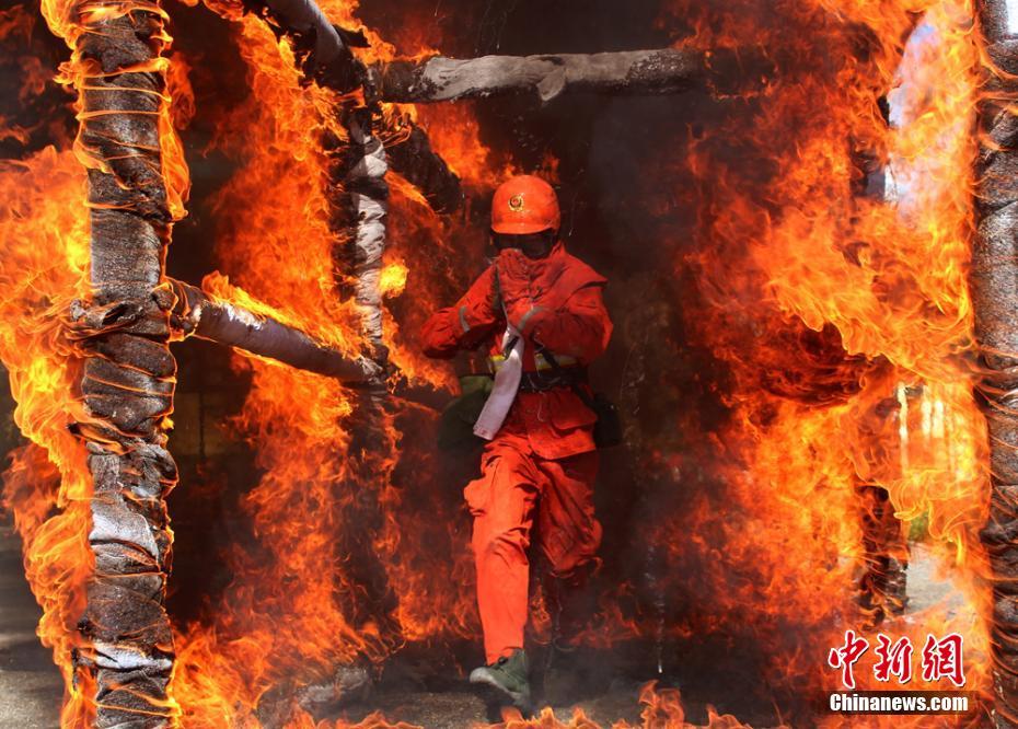 ���Cɭ����(sh��)��(zh��n)��Ӗ(x��n)����Խ����(ch��ng)