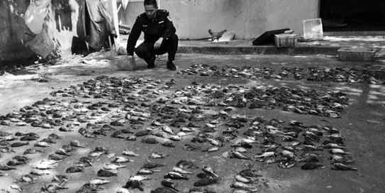 ���ٶ�ֻ�B��������